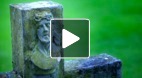 video title goes here