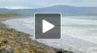 video title goes here