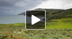video title goes here