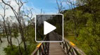 video title goes here
