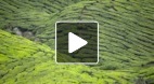 video title goes here