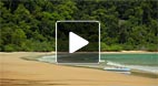 video title goes here