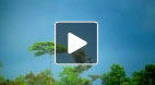 video title goes here