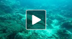 video title goes here
