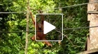 video title goes here