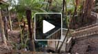 video title goes here