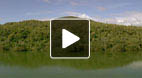 video title goes here