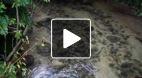 video title goes here