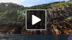 video title goes here