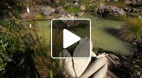 video title goes here