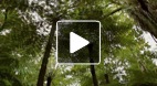 video title goes here