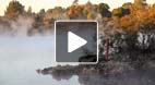 video title goes here