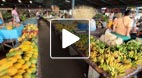 video title goes here