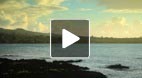 video title goes here