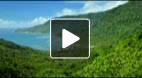 video title goes here