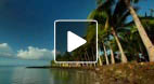 video title goes here
