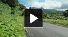 video title goes here