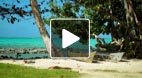 video title goes here